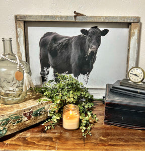 Black Angus
