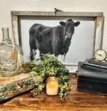Black Angus