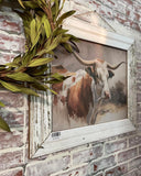 Texas Longhorn