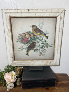Yellow Breasted with Nest