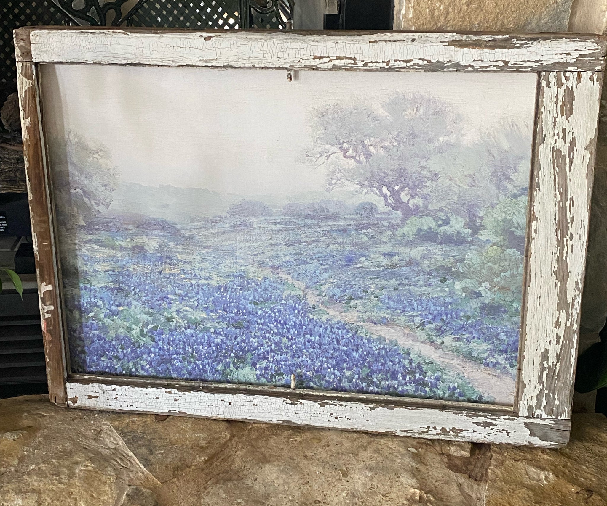 Morning Bluebonnets