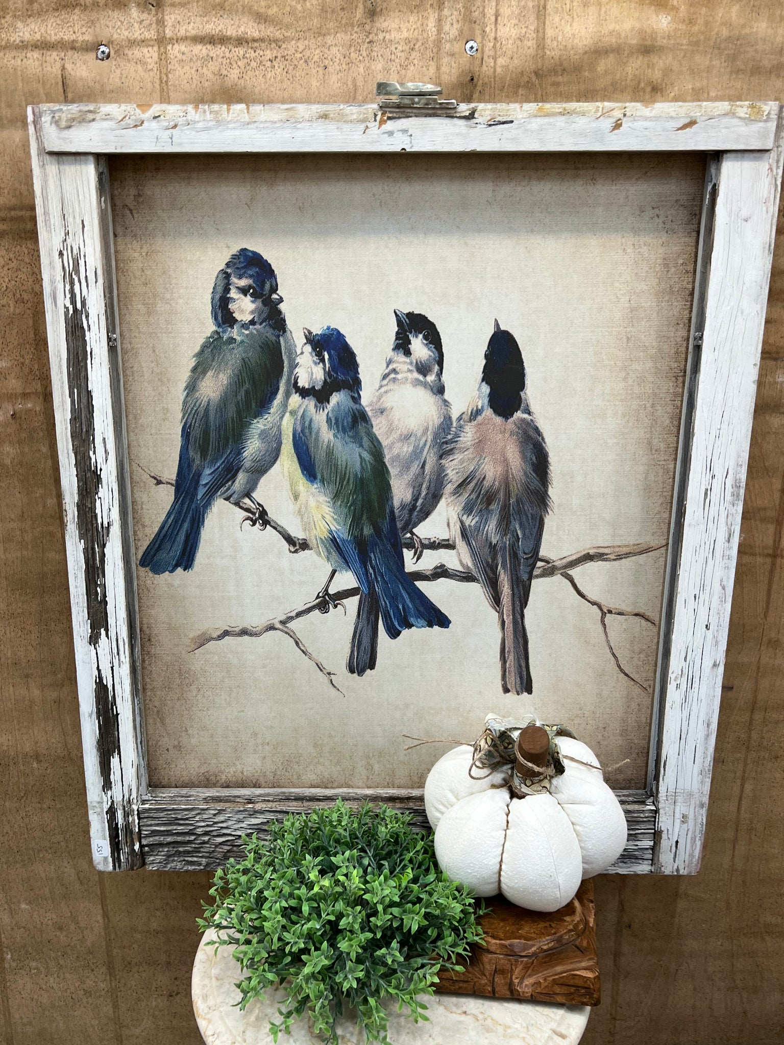 Blue Birds