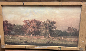 Fall Sheep