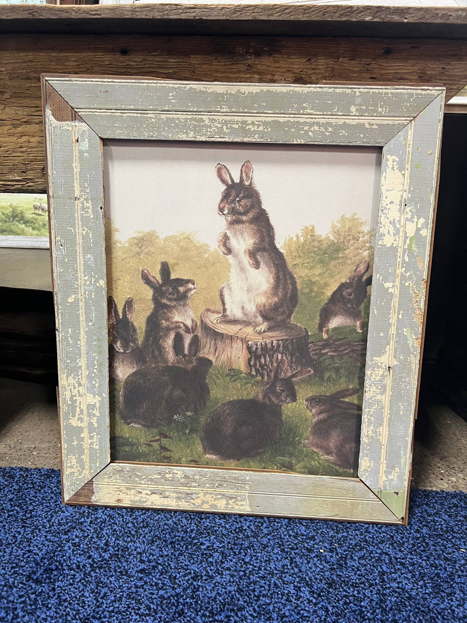 Bunny’s on Log