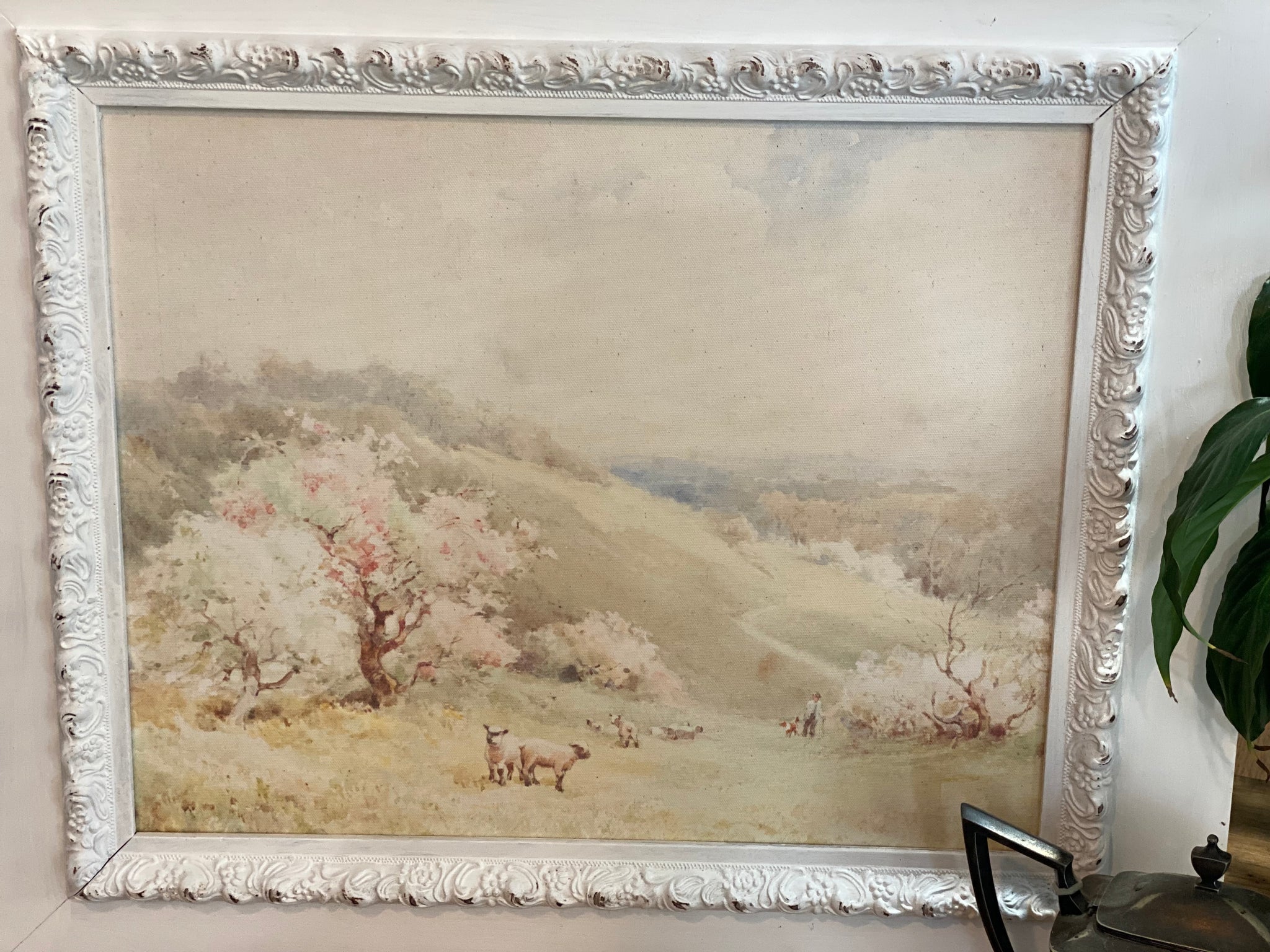 Cherry Blossoms