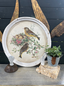 Yellow Breasted with Nest