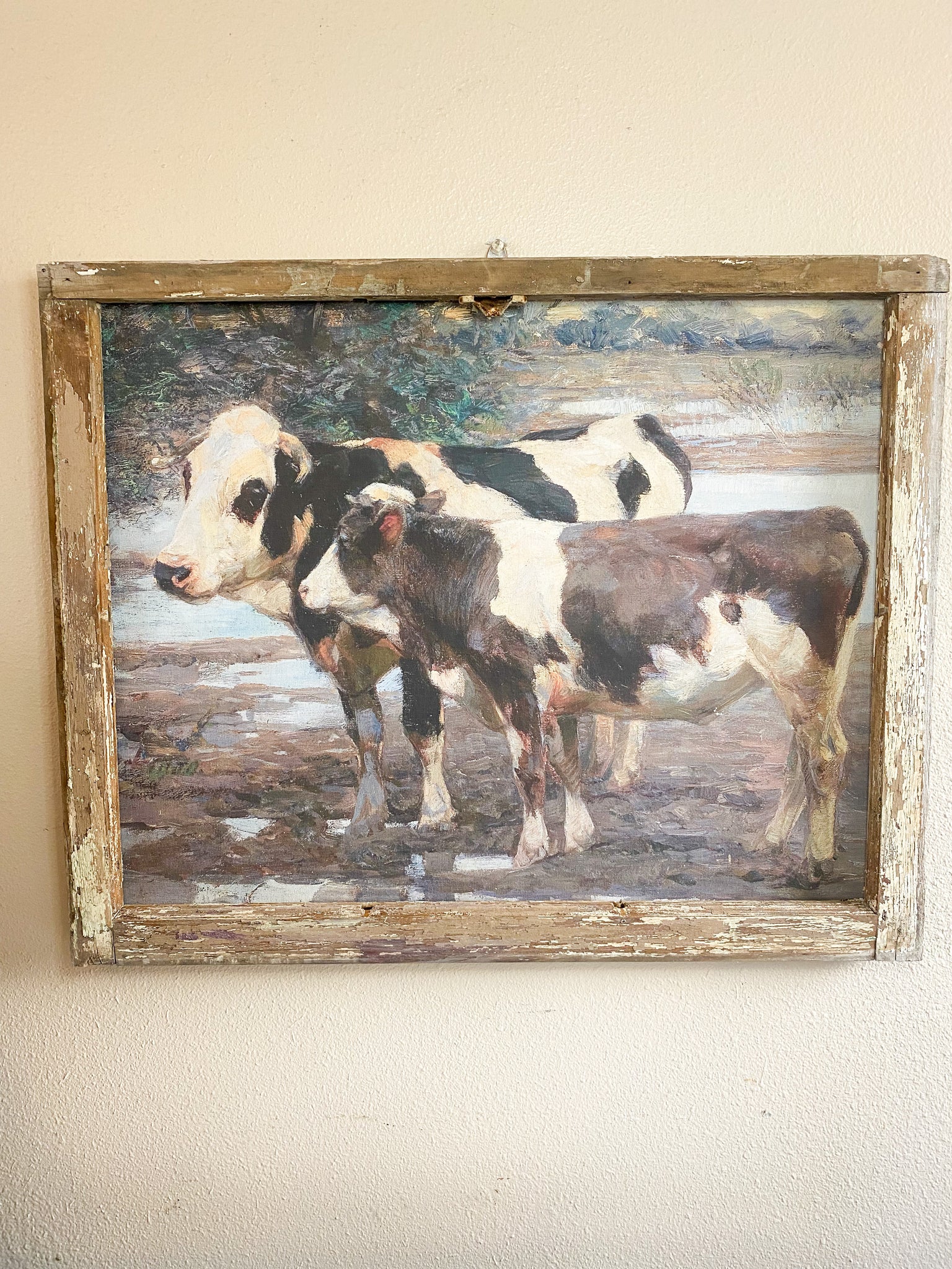 Black and White Cows