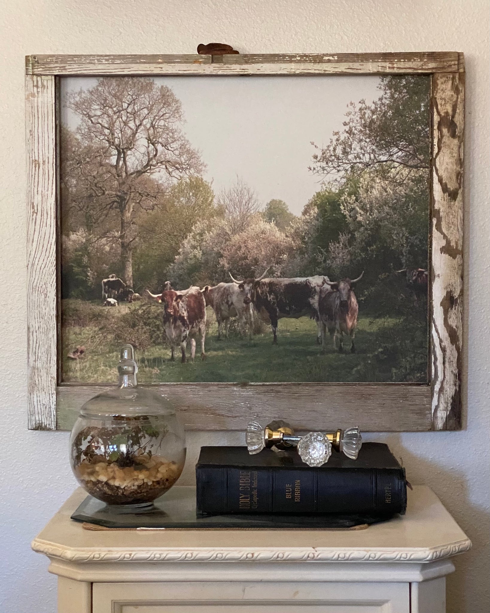 Longhorns under the Tree
