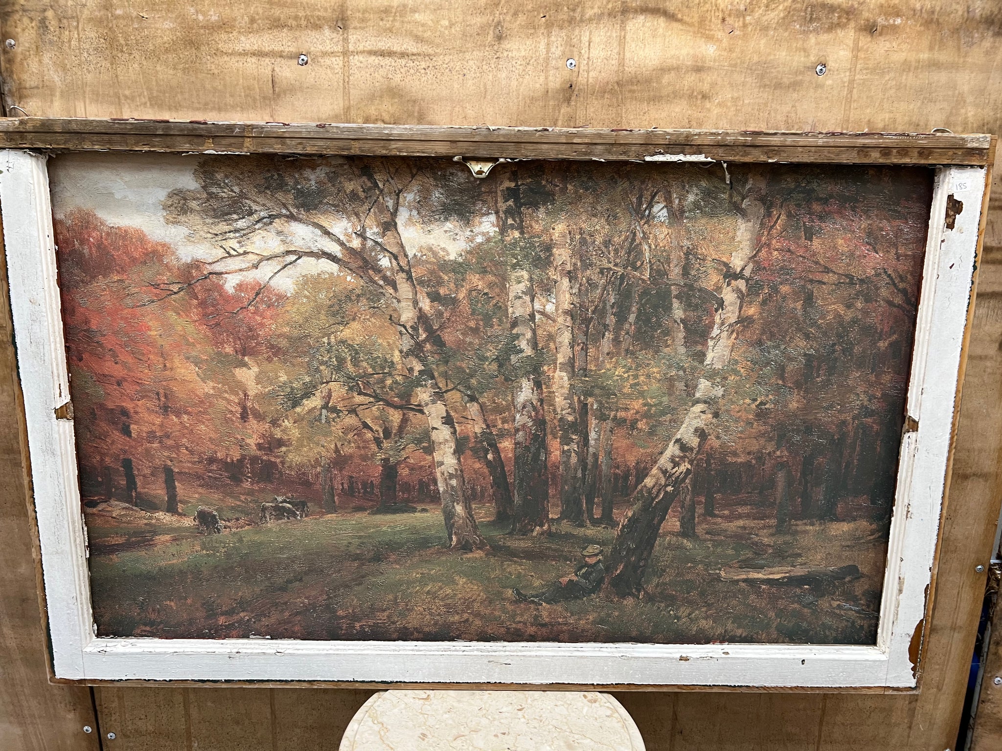 Fall in The Cottonwoods