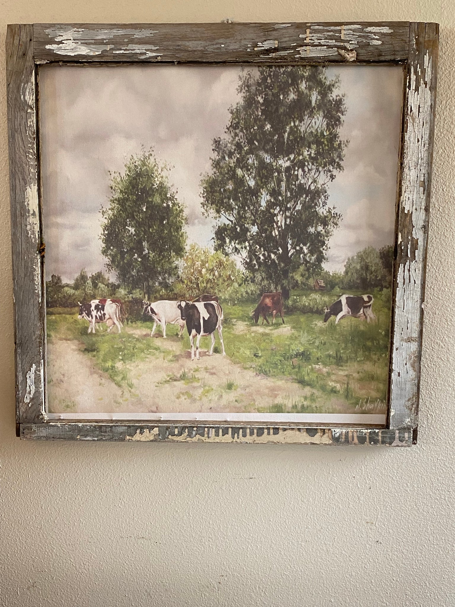 Field Cows