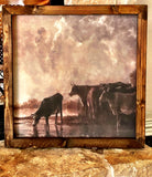 Cows at the creek