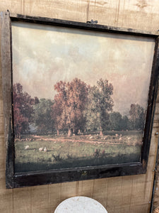 Fall Sheep