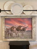 Longhorn Sunset