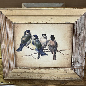 Blue Birds