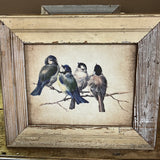 Blue Birds