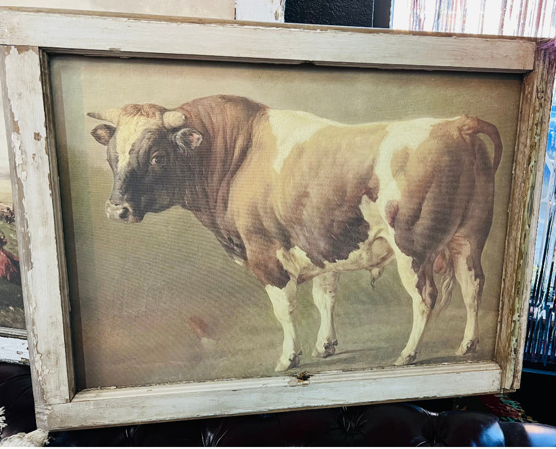 Brown Cow