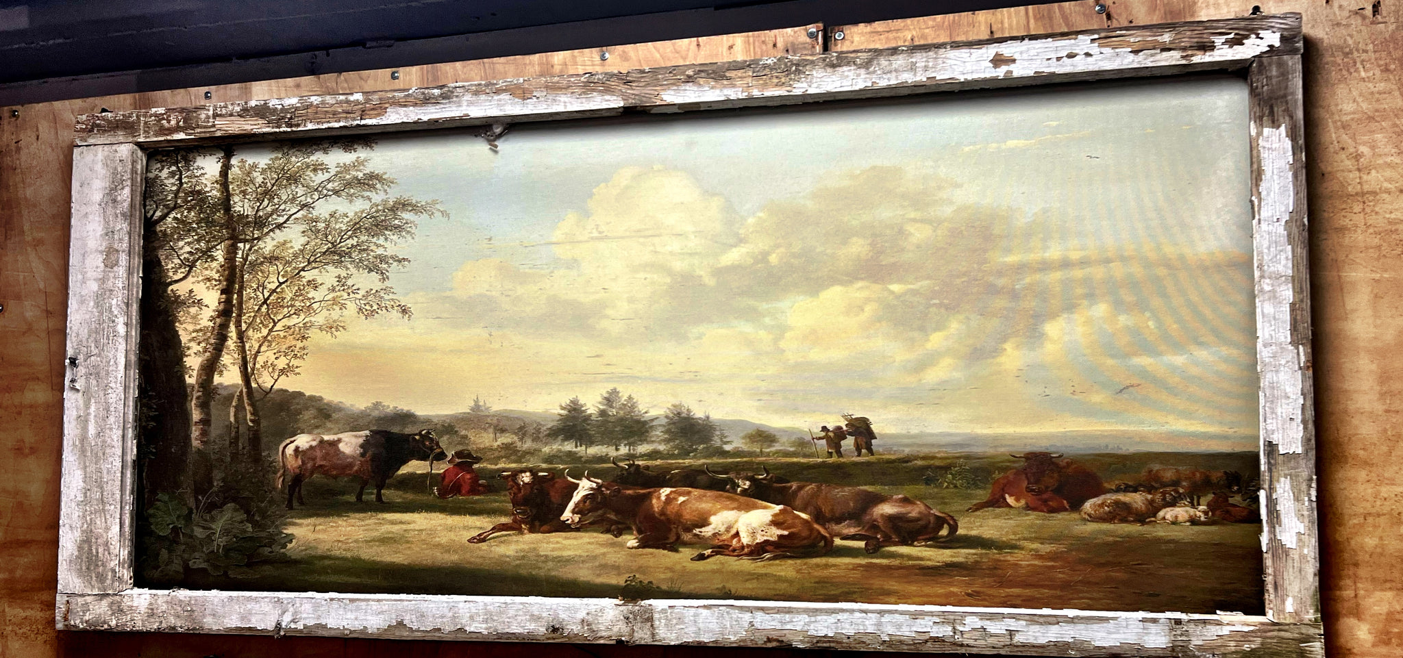 Lazy Cows
