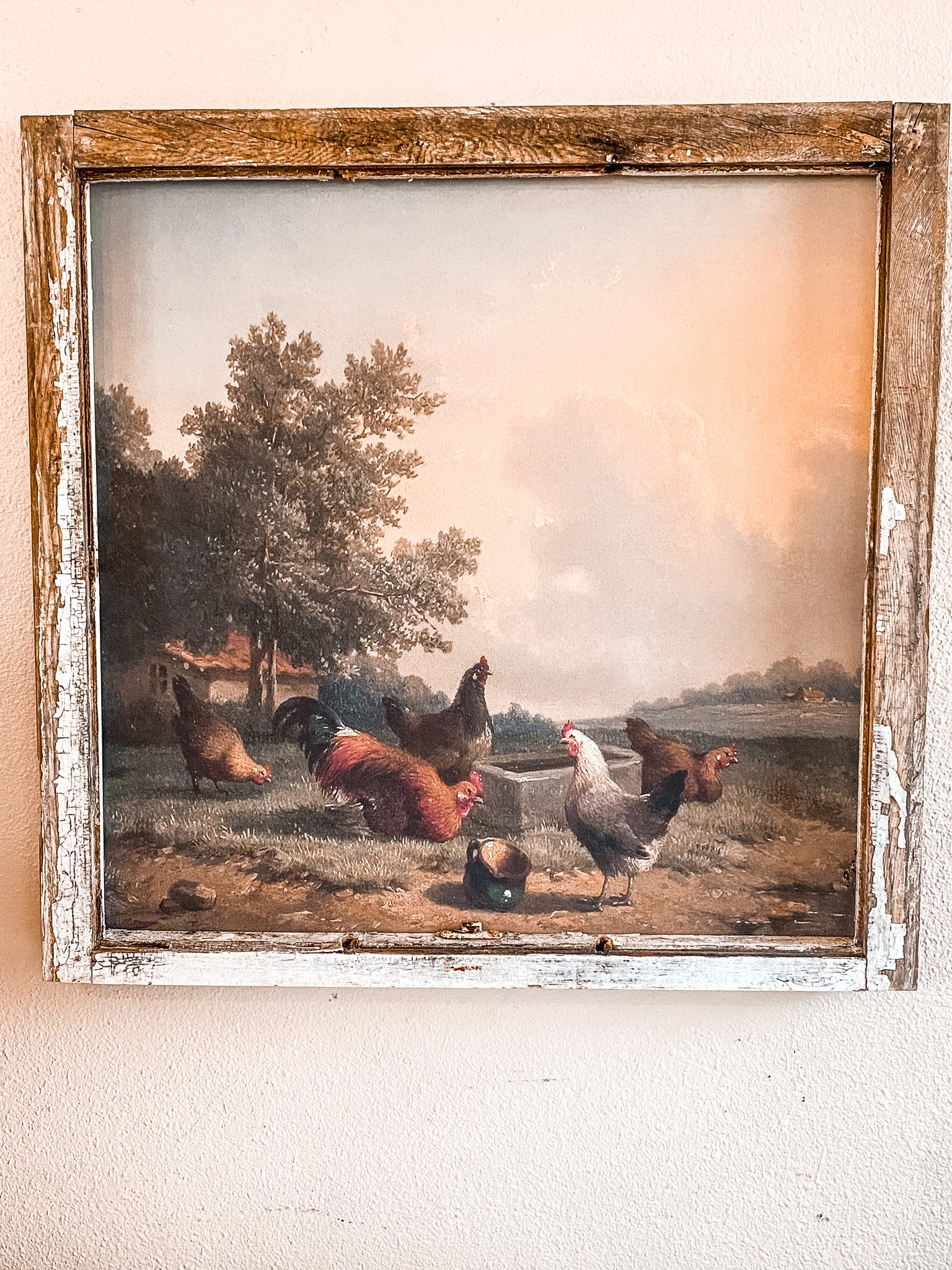 Hens on The Farm