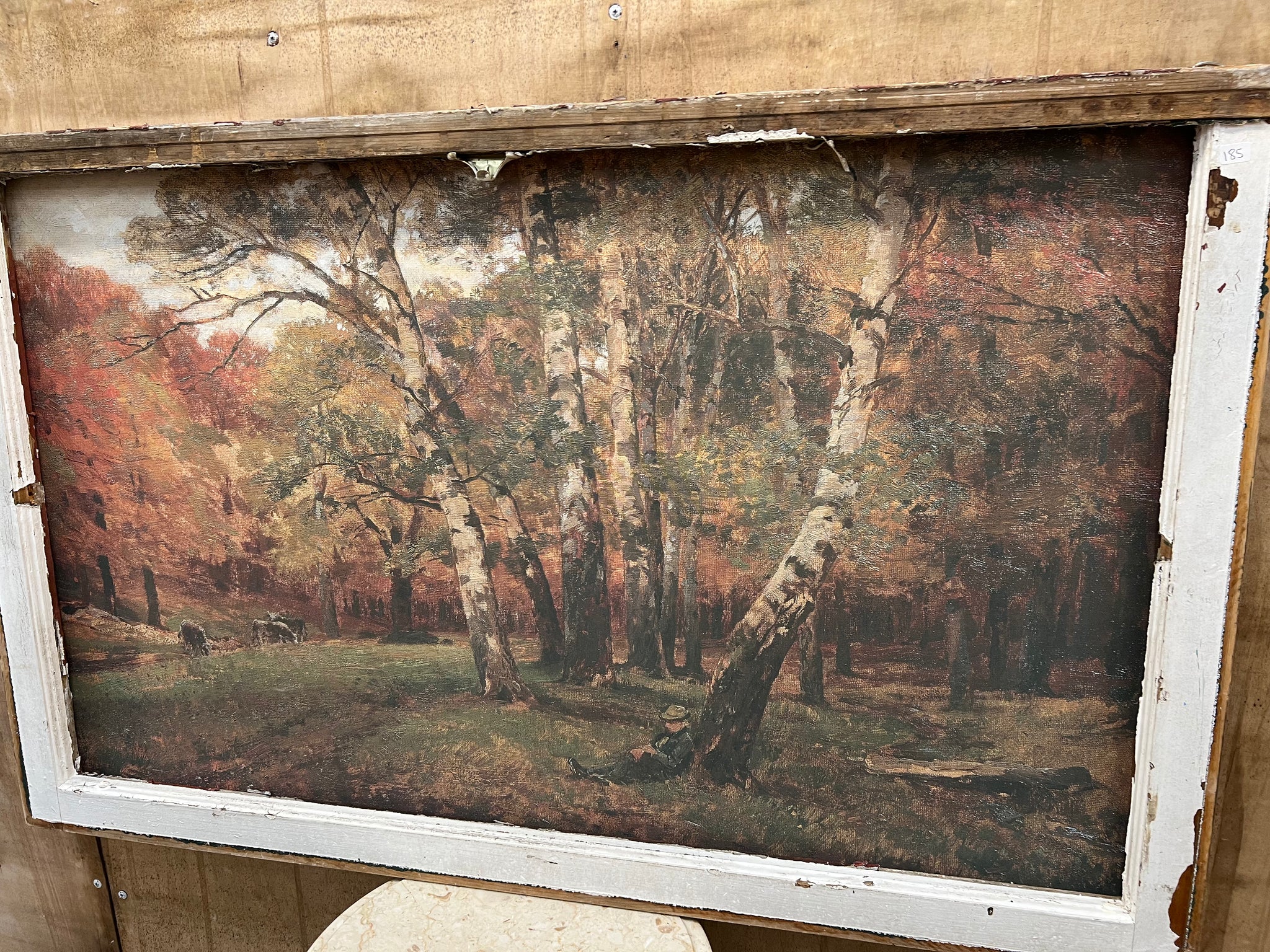 Fall in The Cottonwoods