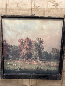 Fall Sheep