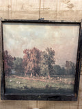 Fall Sheep