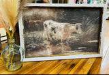 White Cow