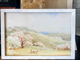 Cherry Blossoms