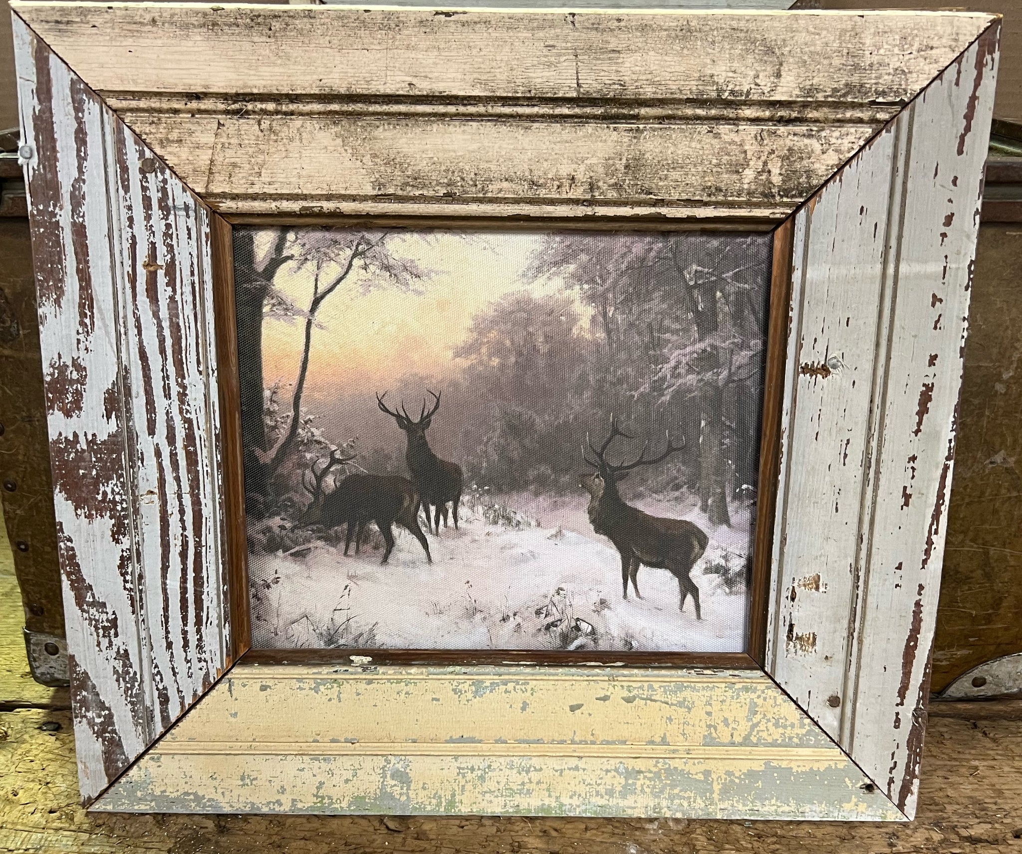 Deer in the Snow