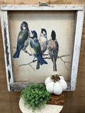 Blue Birds