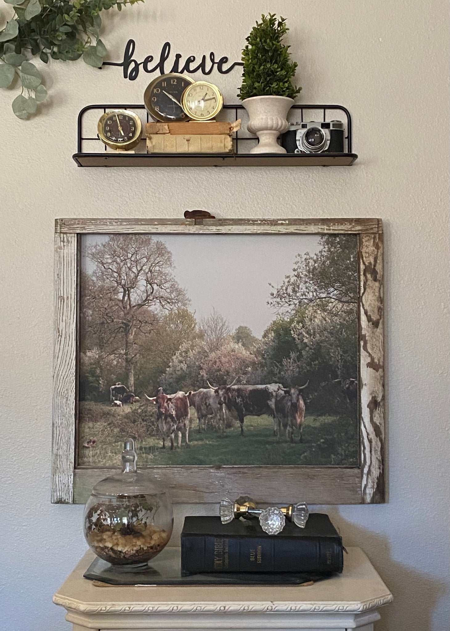 Longhorns under the Tree