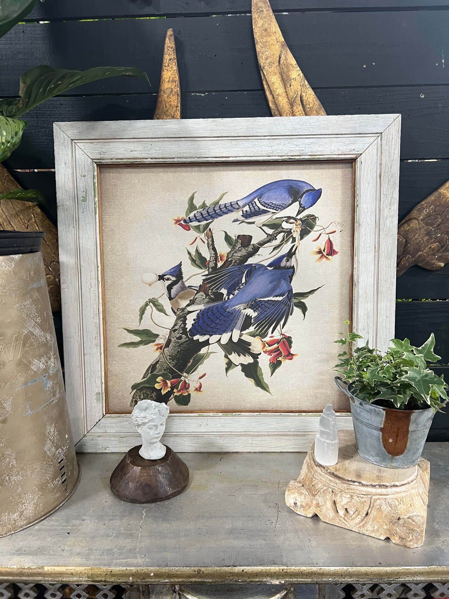 Blue Jays