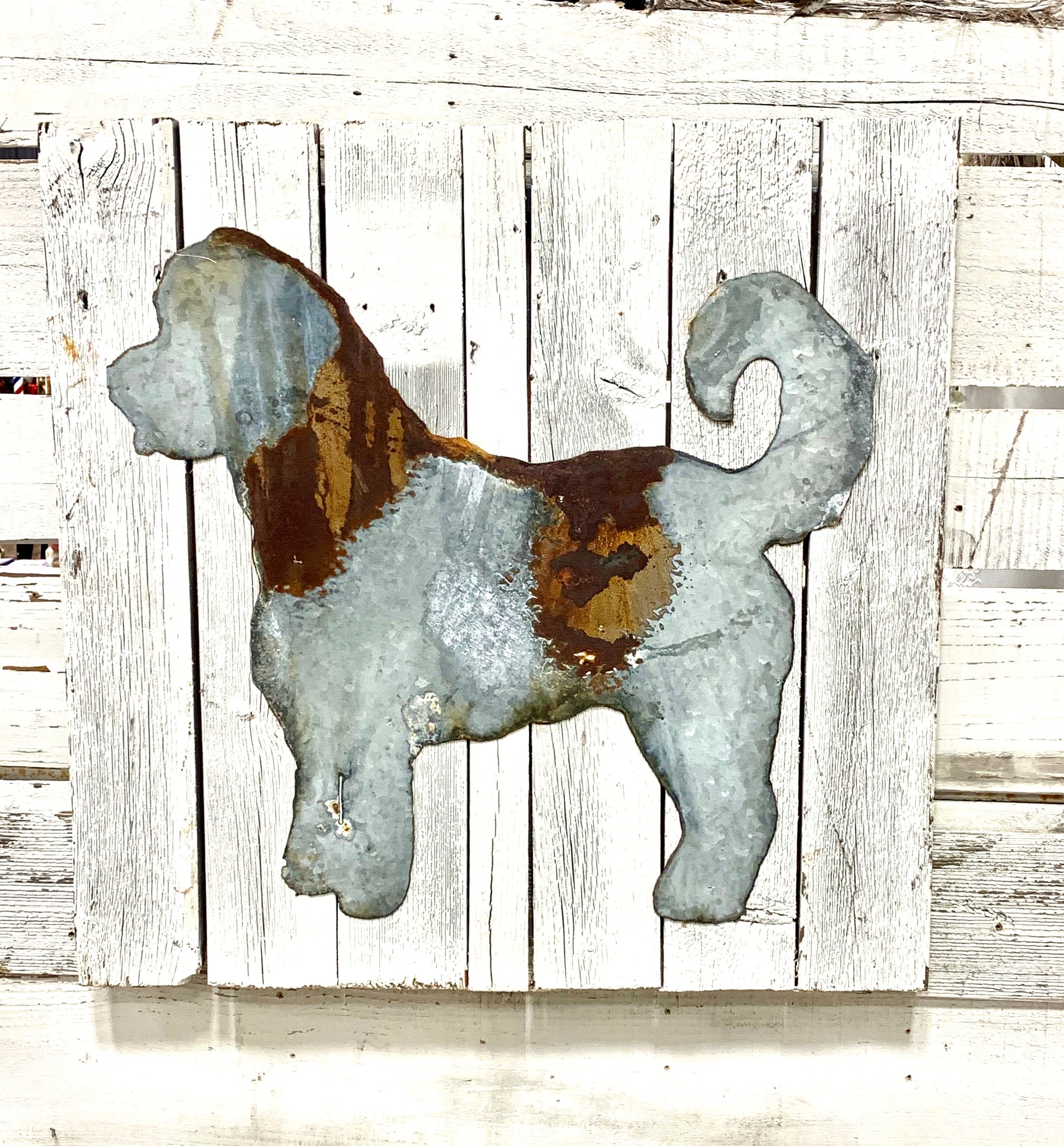Goldendoodle