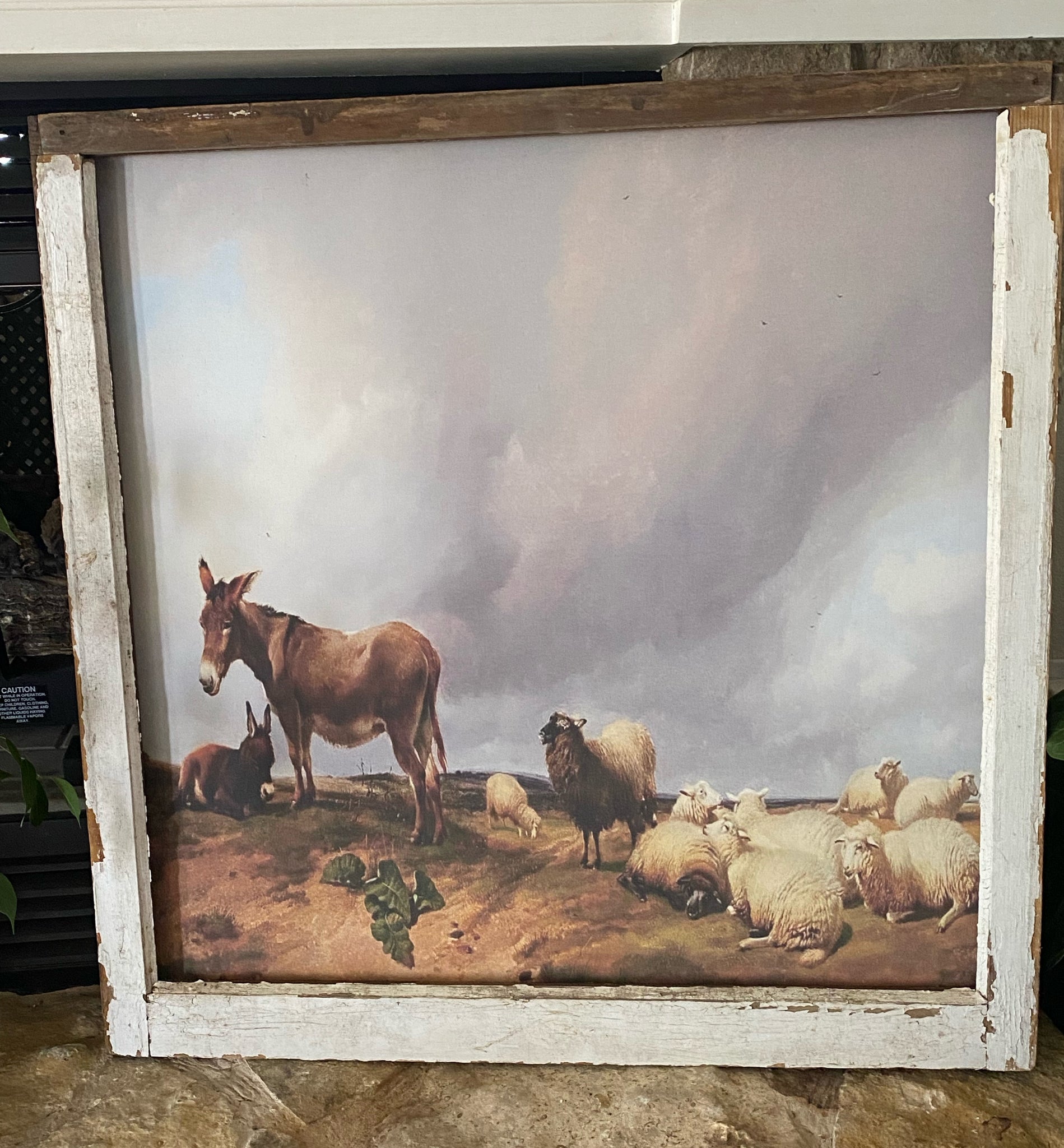 Donkeys Guarding The Sheep