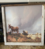 Donkeys Guarding The Sheep