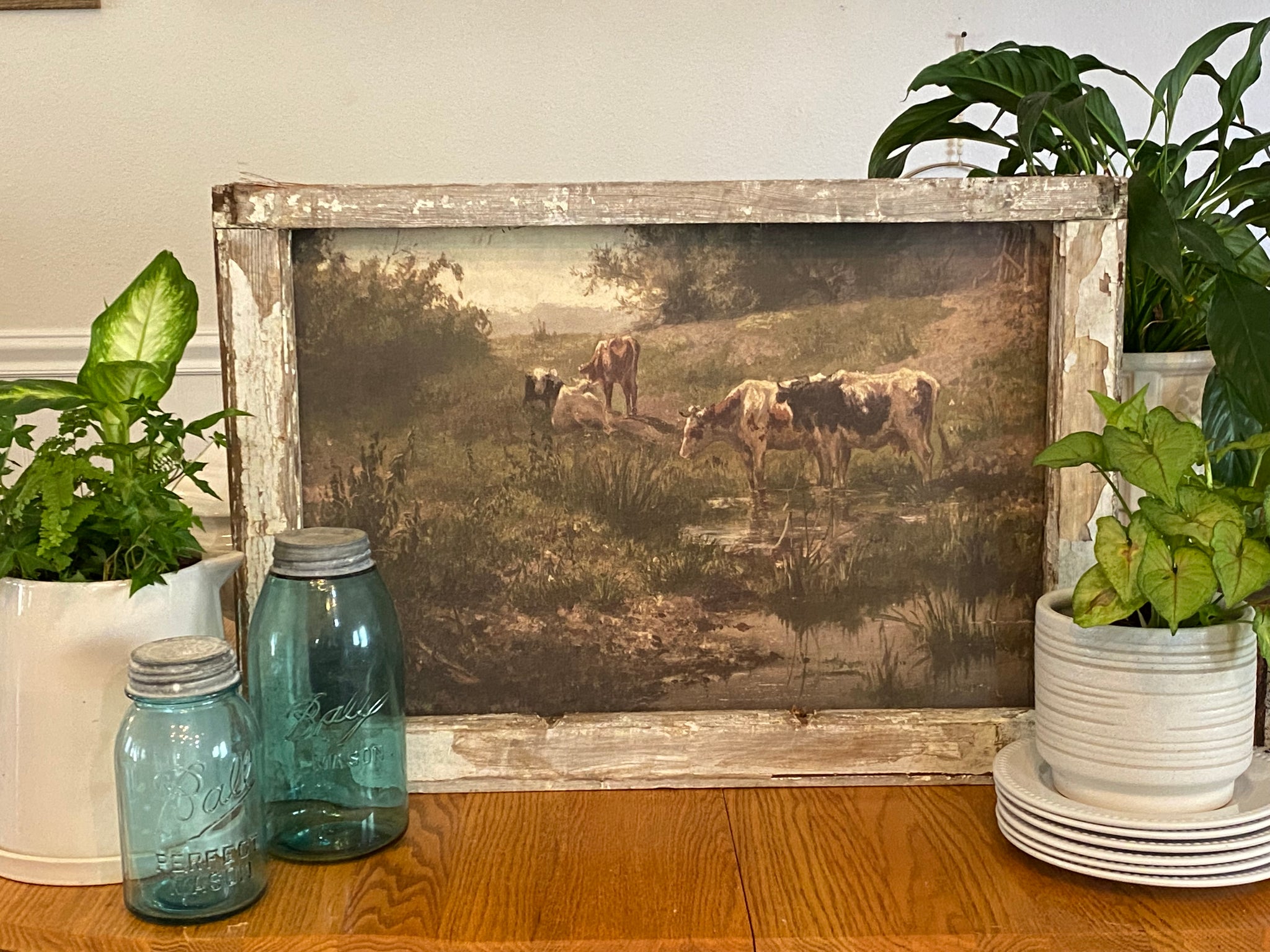 Cows in the Creek